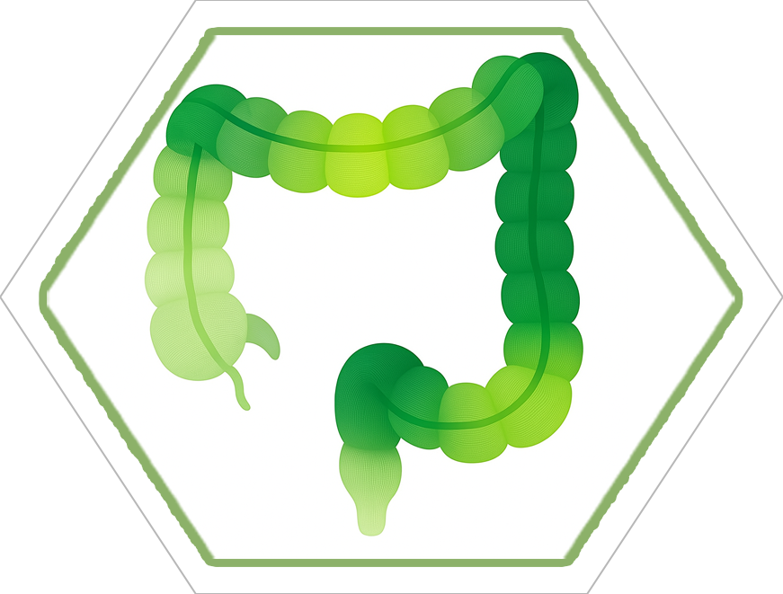 Colon Hydrotherapy การสวนล้างลำไส้ใหญ่ Colon Hydrotherapy การสวนล้างลำไส้ใหญ่